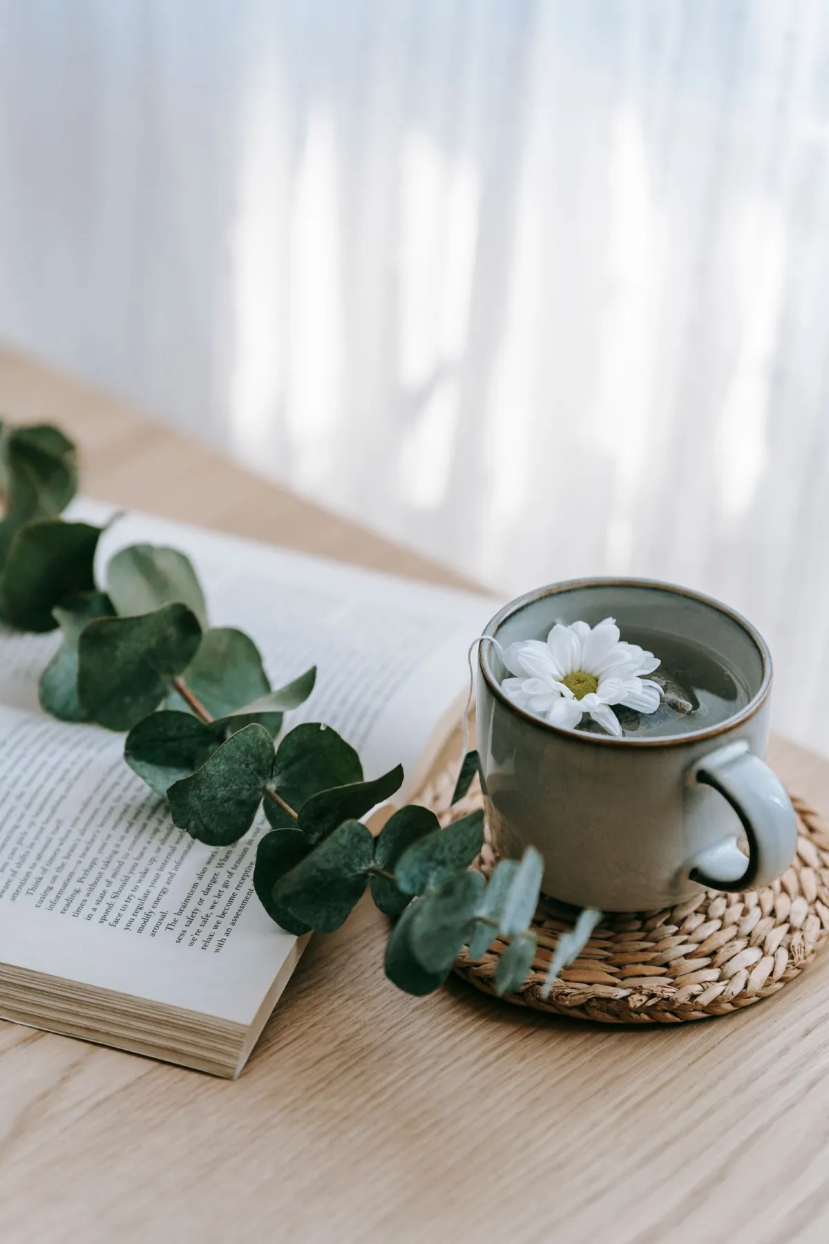 Tasse Tee mit Kamillenblüte neben einem offenen Buch und Eukalyptus